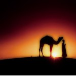 Desert_and_Camel